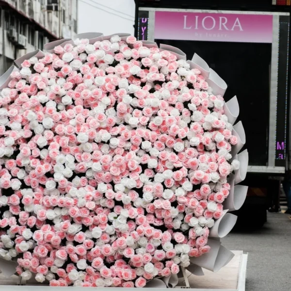 The Grand Collection