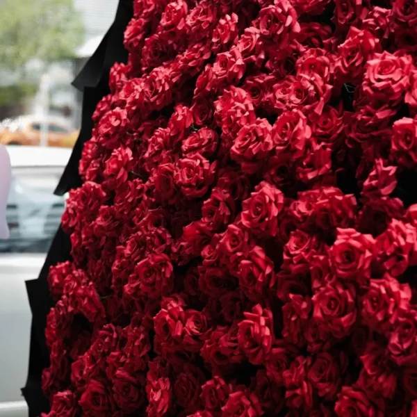 The Grand Collection